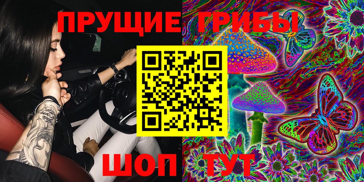 Галлюциногенные грибы Psilocybine cubensis Лесосибирск